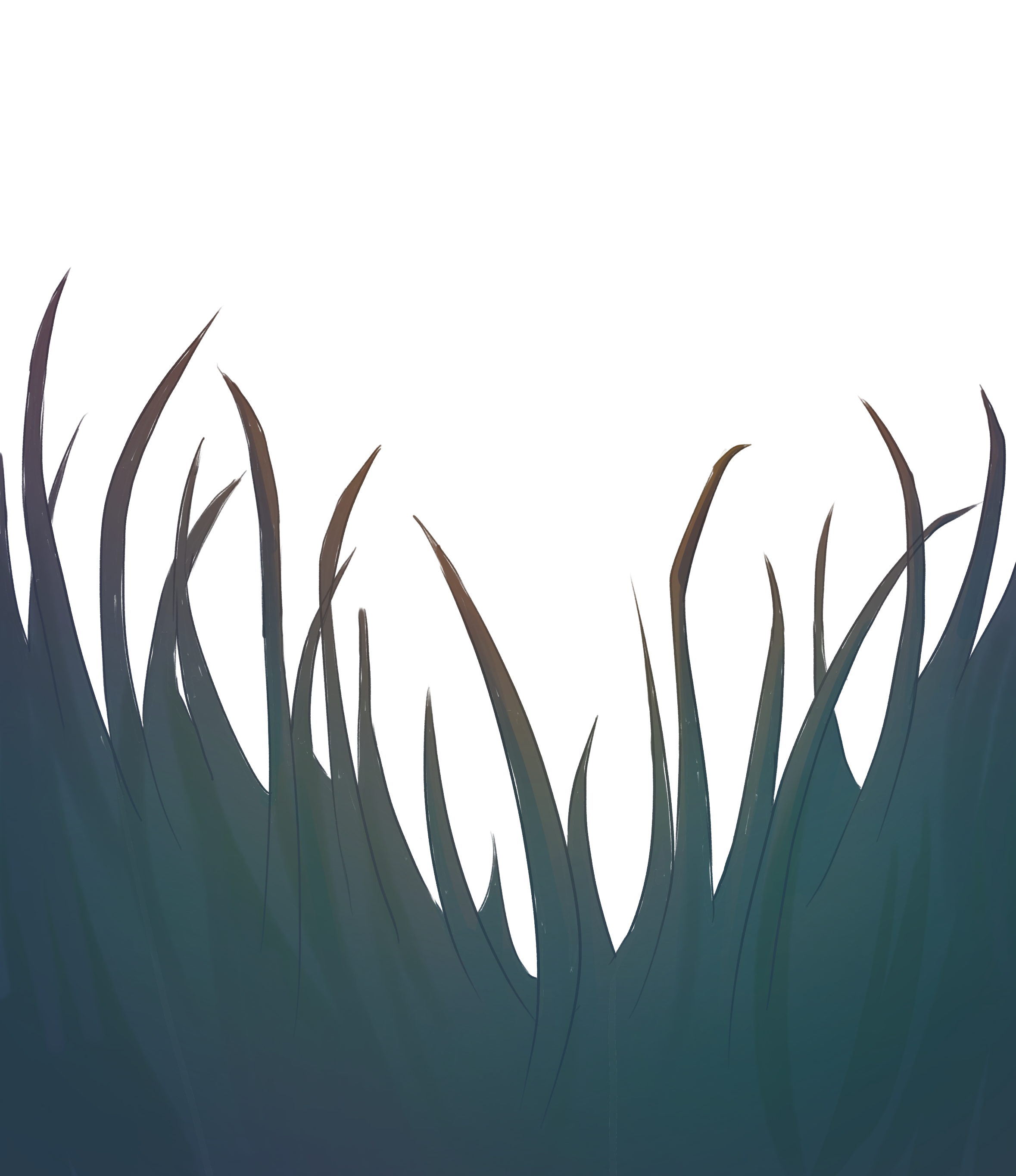 Grass